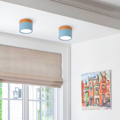 Plafondlamp LED Cilinder Aluminium Moderne Opbouw Lamp