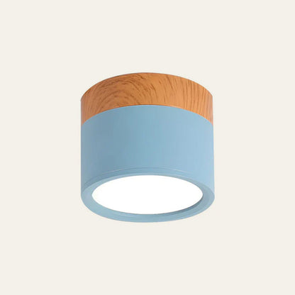 Plafondlamp LED Cilinder Aluminium Moderne Opbouw Lamp