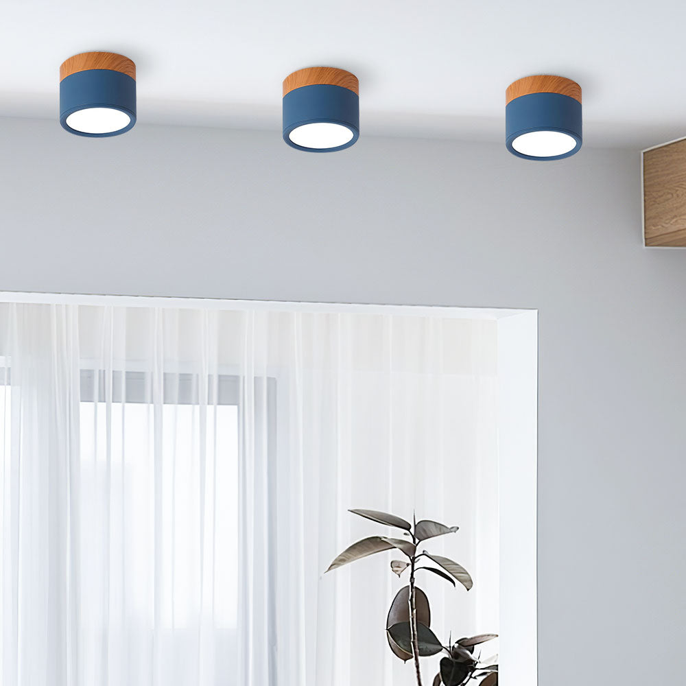 Plafondlamp LED Cilinder Aluminium Moderne Opbouw Lamp