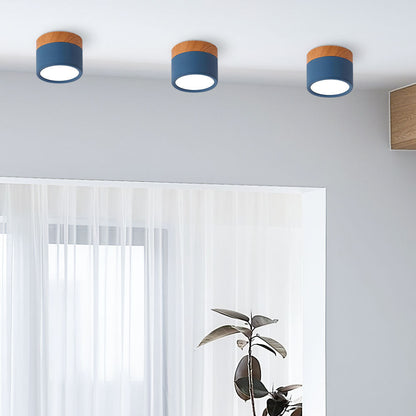 Plafondlamp LED Cilinder Aluminium Moderne Opbouw Lamp