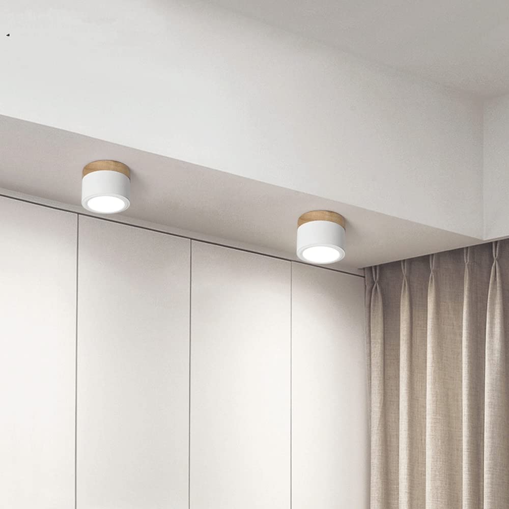 Plafondlamp LED Cilinder Aluminium Moderne Opbouw Lamp