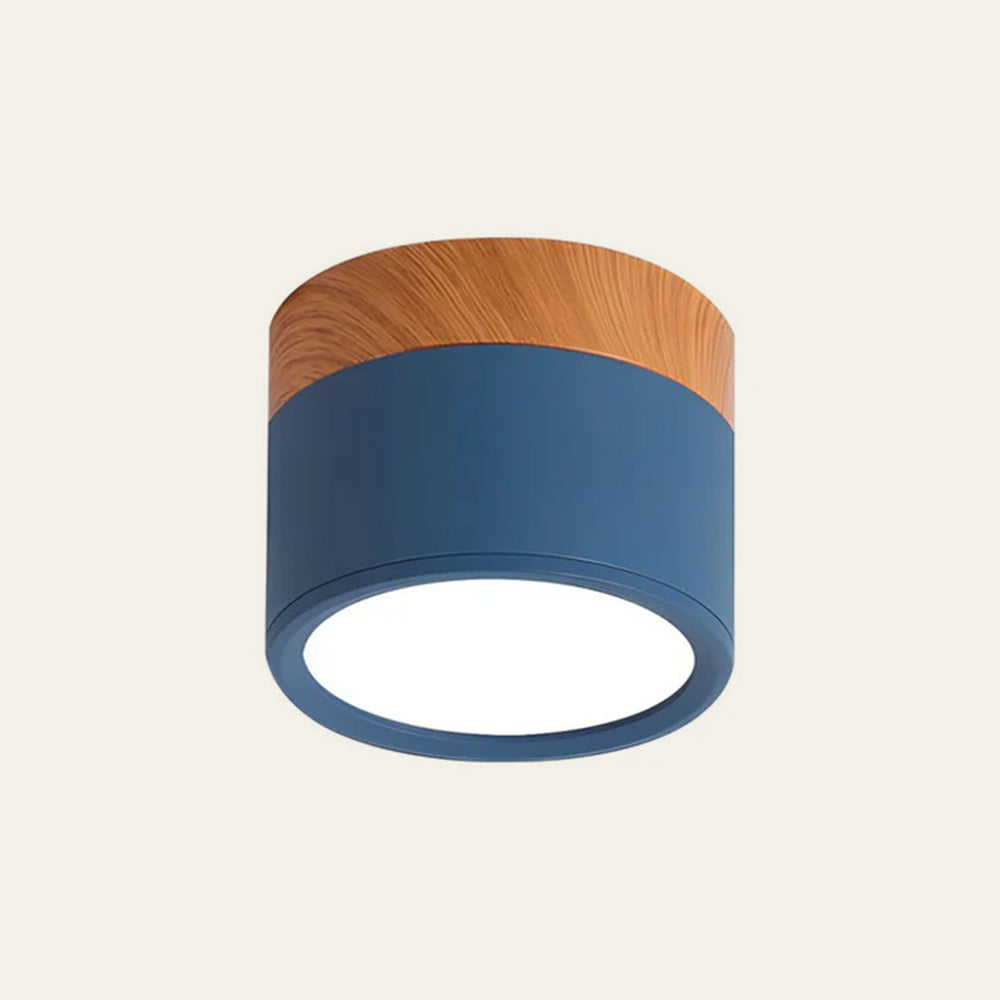 Plafondlamp LED Cilinder Aluminium Moderne Opbouw Lamp