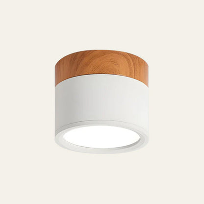 Plafondlamp LED Cilinder Aluminium Moderne Opbouw Lamp