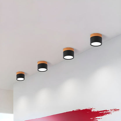 Plafondlamp LED Cilinder Aluminium Moderne Opbouw Lamp