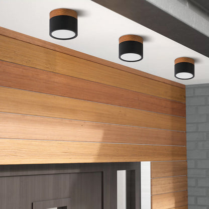 Plafondlamp LED Cilinder Aluminium Moderne Opbouw Lamp