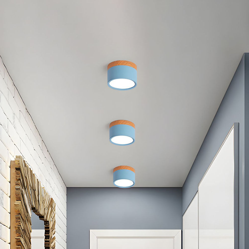 Plafondlamp LED Cilinder Aluminium Moderne Opbouw Lamp
