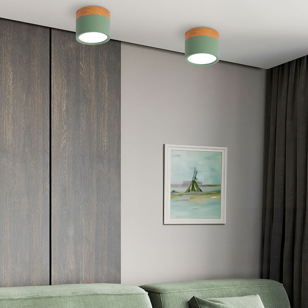 Plafondlamp LED Cilinder Aluminium Moderne Opbouw Lamp