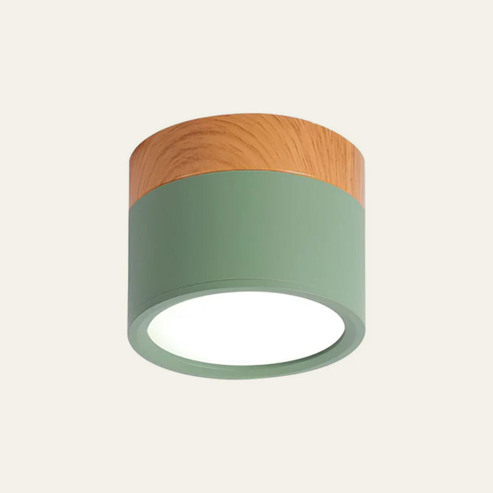 Plafondlamp LED Cilinder Aluminium Moderne Opbouw Lamp