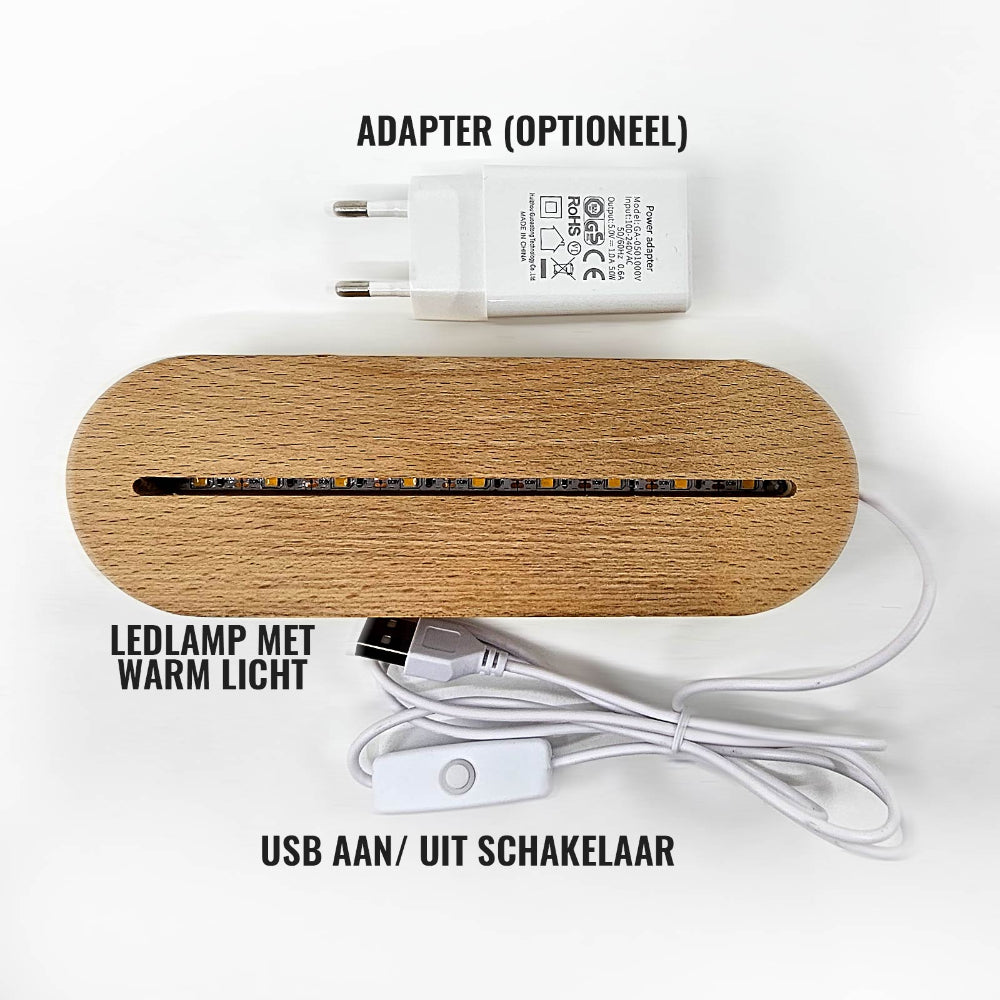 Nachtlampje Kinderkamer Dier Naam Houten LED Lamp