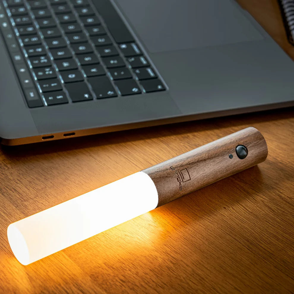 Moderne Fakkel Beweging Oplaadbare Wandlamp
