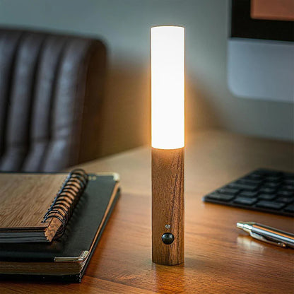 Moderne Fakkel Beweging Oplaadbare Wandlamp