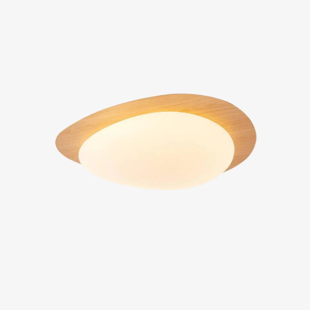 Olla Pebble LED Plafondlamp voor Moderne Interieurs