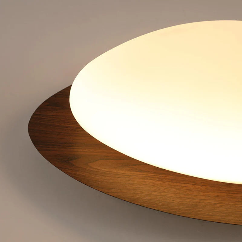 Olla Pebble LED Plafondlamp voor Moderne Interieurs