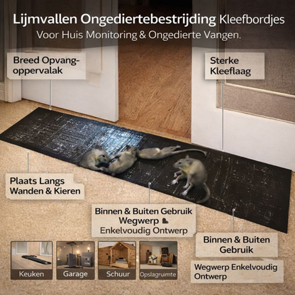 Muizenval Lijmplank Ongediertebestrijding Binnen Buiten