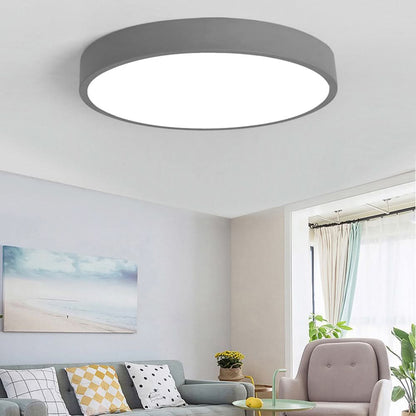 Plafondlamp LED Ronde Moderne Sfeerverlichting Lamp