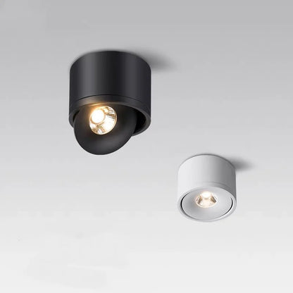 Dimbare Opbouw LED Plafondlamp