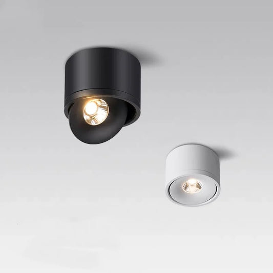 Dimbare Opbouw LED Plafondlamp