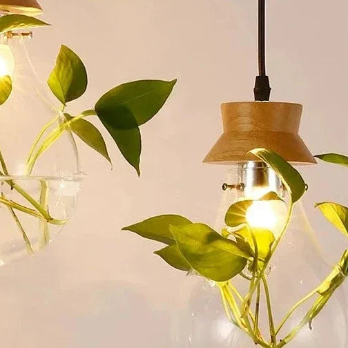 EcoSphere Unieke Glazen Bol Planten Hanglamp