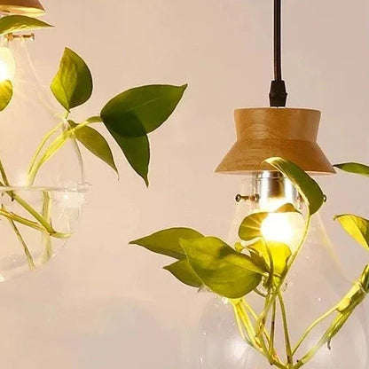 EcoSphere Unieke Glazen Bol Planten Hanglamp