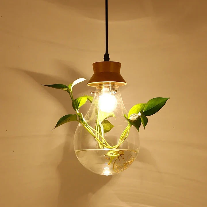 EcoSphere Unieke Glazen Bol Planten Hanglamp