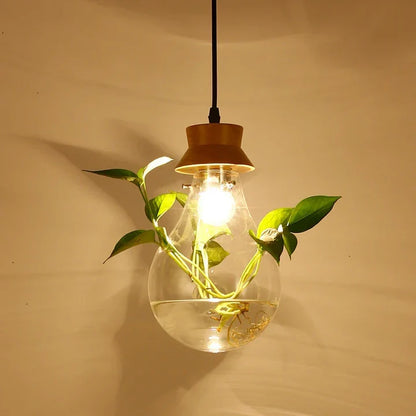 EcoSphere Unieke Glazen Bol Planten Hanglamp