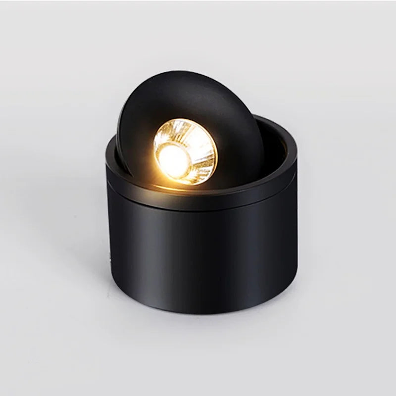 Dimbare Opbouw LED Plafondlamp