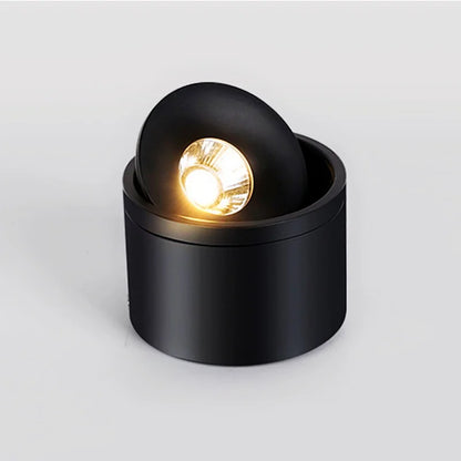 Dimbare Opbouw LED Plafondlamp