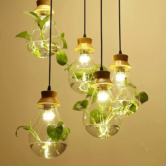 EcoSphere Unieke Glazen Bol Planten Hanglamp