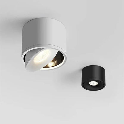 Dimbare Opbouw LED Plafondlamp