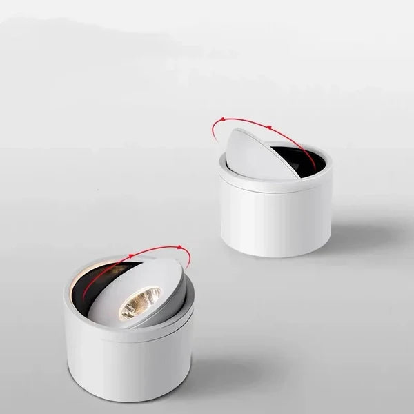 Dimbare Opbouw LED Plafondlamp