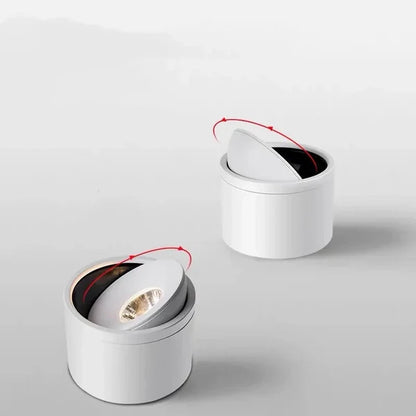 Dimbare Opbouw LED Plafondlamp