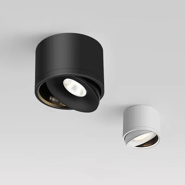 Dimbare Opbouw LED Plafondlamp