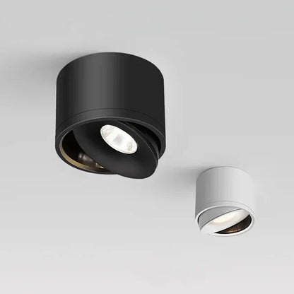 Dimbare Opbouw LED Plafondlamp