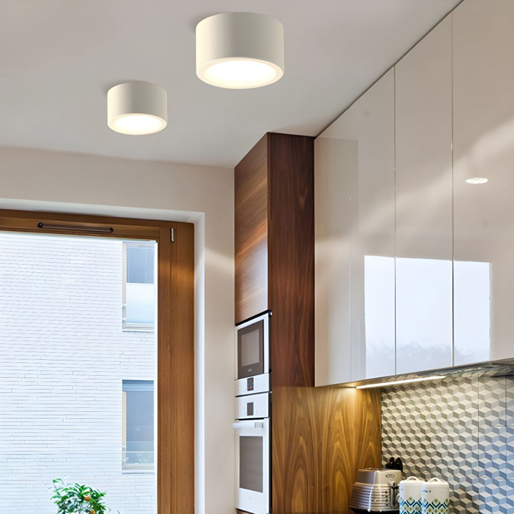 Plafondlamp LED Scandinavisch Cilinder Opbouwlamp Aluminium