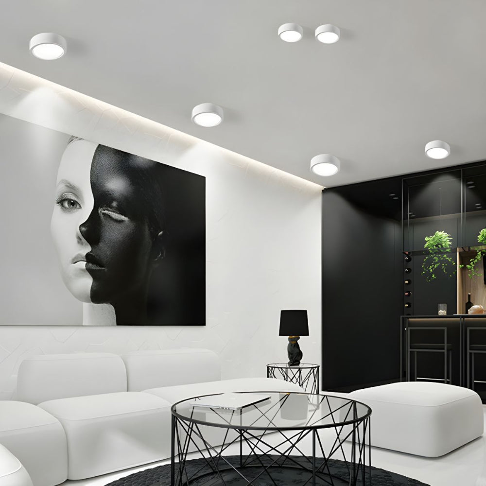 Plafondlamp LED Scandinavisch Cilinder Opbouwlamp Aluminium