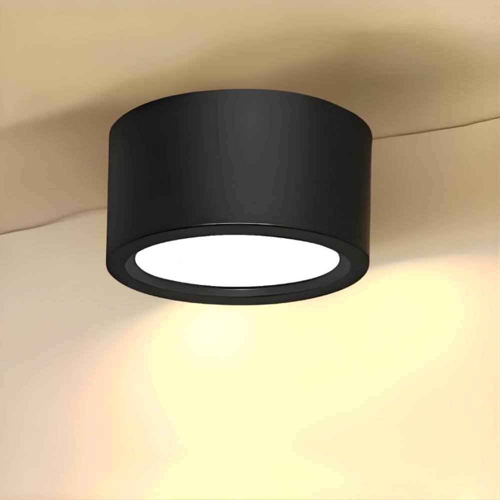 Plafondlamp LED Scandinavisch Cilinder Opbouwlamp Aluminium