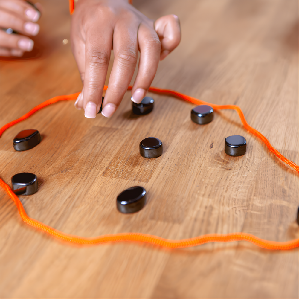 Schaakspel Magnetisch Bordspel Strategie Familie Spel
