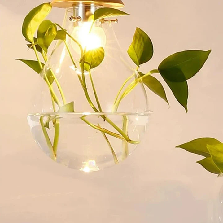 EcoSphere Unieke Glazen Bol Planten Hanglamp