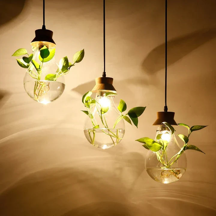 EcoSphere Unieke Glazen Bol Planten Hanglamp