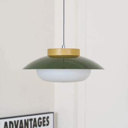 Scandinavisch Design Hanglamp met Houten Accent