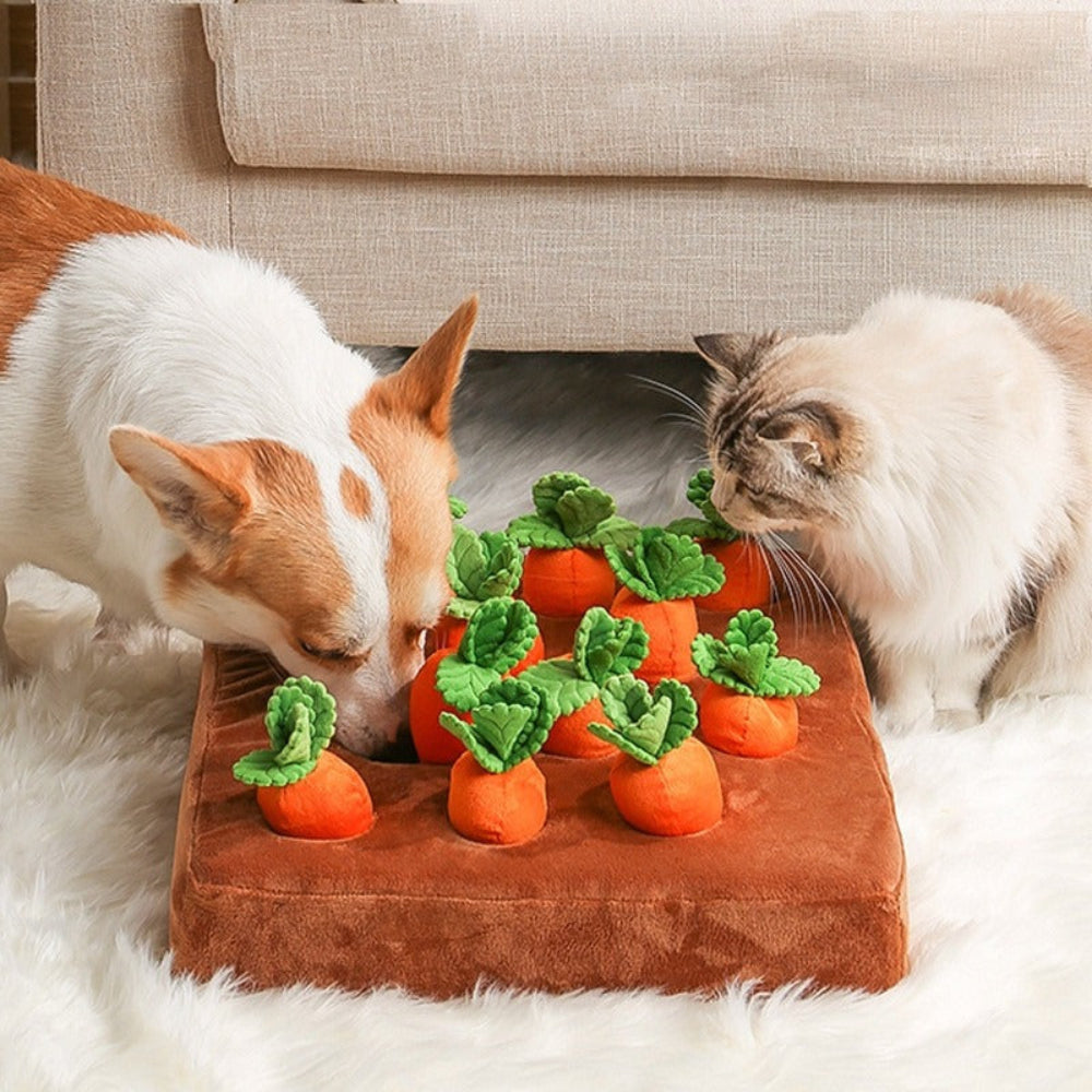 Snuffelmat Hond Interactief Denkspel Wasbaar