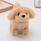Bruin 2
