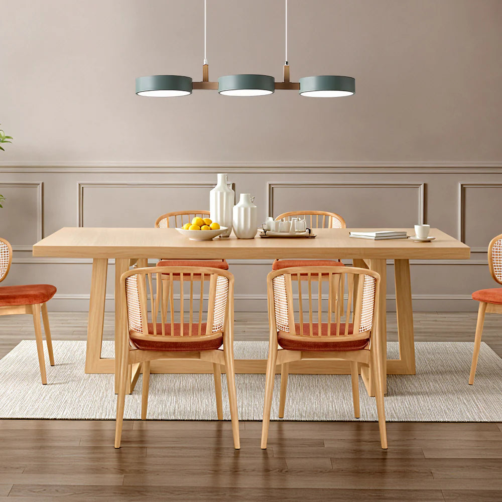 Stijlvolle Metalen Nordic Flush Plafondlicht