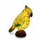 Geel