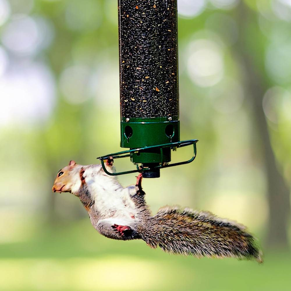 Vogelvoederhuis Metaal Eekhoornbestendig Hangend Tuin