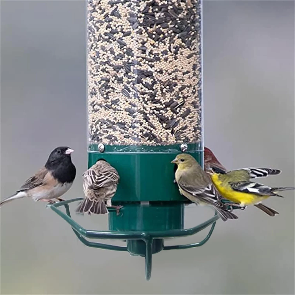 Vogelvoederhuis Metaal Eekhoornbestendig Hangend Tuin