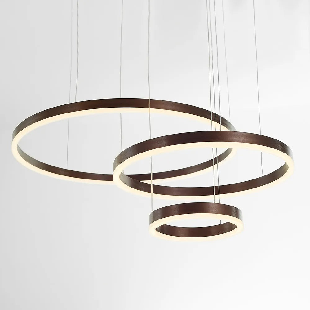 Arisha hanglamp -Modern metaal Tir-Cirkel