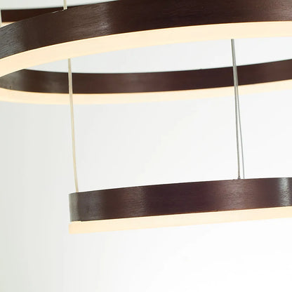 Arisha hanglamp -Modern metaal Tir-Cirkel