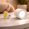 Wit