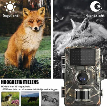 Wildcamera Nachtzicht HD Buiten Dierencamera Bewegingsdetectie